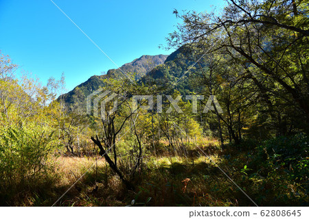 Scenery of Kamikochi nature trail 62808645