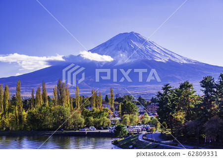 (Yamanashi) Lake Kawaguchi / Oike Park Poplar Autumn Leaves and Mt. Fuji 62809331