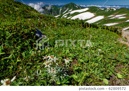 Usuyukisou on the Iideyama Ridge Line and the mountains in the direction of Mt. 62809572