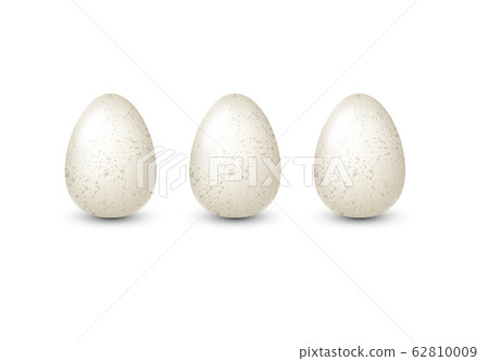 White realistic quail eggs with speckles. Vector illustration. White realistic quail eggs with speckles. Vector illustration. 62810009