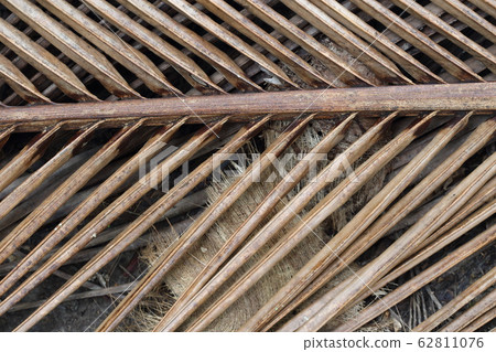 Dried coconut leaves on walkway garden and Dried coconut leaves on walkway garden and 62811076