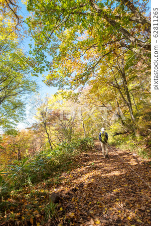 Oyama Autumn leaves Yokoteido Trekking 62811265
