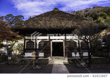 (Kanagawa Prefecture) Autumn Engaku-ji Temple, Buddhist ceremony hall @ autumn leaves (Kanagawa Prefecture) Autumn Engaku-ji Temple, Buddhist ceremony hall @ autumn leaves 62811607