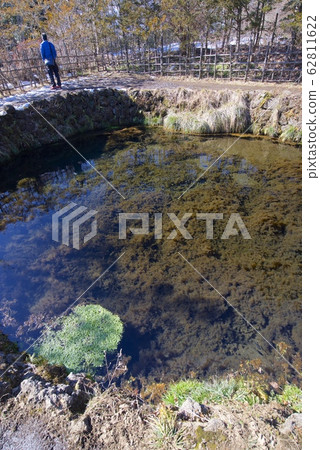 Choshin Pond in Oshino Hakkai in winter (Yamanashi Prefecture) 62811622