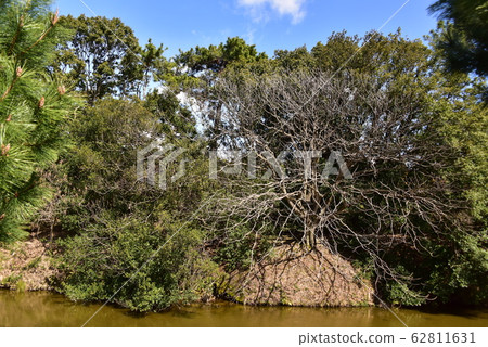 World heritage, Mozu Tokoro Kofun group, Nintoku tomb 62811631