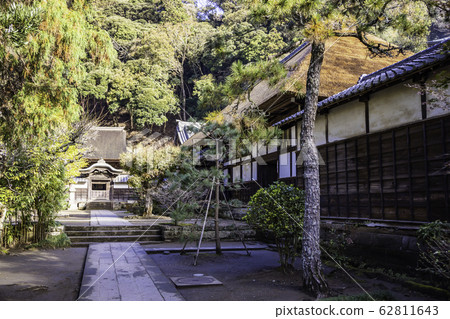 （神奈川縣）圓花寺的秋葉 62811643