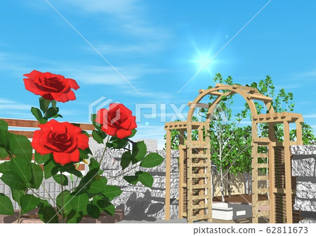 花園外牆玫瑰花 花園外牆玫瑰花 62811673