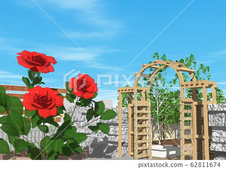 Garden exterior rose flower 62811674