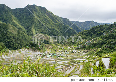水稻梯田 稻田 風景 62811809
