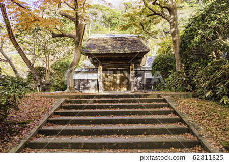 (Kanagawa Prefecture) Autumn Enkaku-ji Temple in Autumn (Kanagawa Prefecture) Autumn Enkaku-ji Temple in Autumn 62811825
