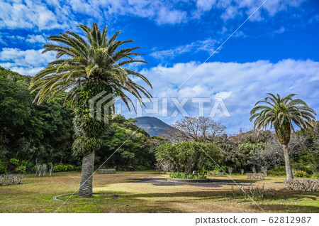 八丈島植物園廣場下和八丈富士 八丈島植物園廣場下和八丈富士 62812987