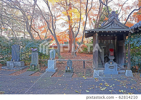坎森寺 62814210