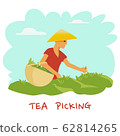 A man in a hat with a basket in his hands is harvesting a tea leaf. Vector illustration 62814265