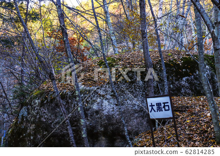 [Yamanashi Prefecture] Hontani River Gorge Daikokuishi of autumn leaves 62814285