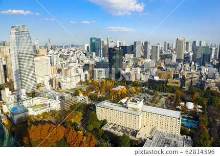 [Minato-ku, Tokyo] Autumn cityscape from Tokyo Tower Observatory 62814396