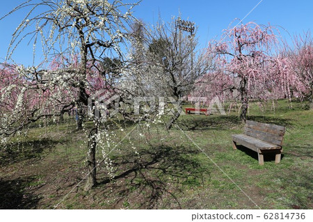Kazahaya Village-Bailin 62814736