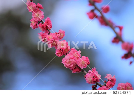 Kazahaya Village-Bairin Kazahaya Village-Bairin 62814874