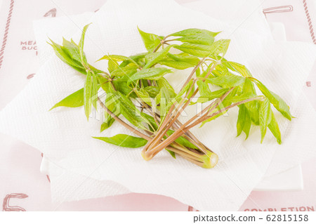 Queen of wild plants Queen of wild plants 62815158
