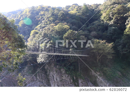 Torokai Torokai 62816072