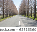 Spring tree-lined avenue 62816360