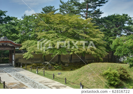 高台寺的中央門 62816722