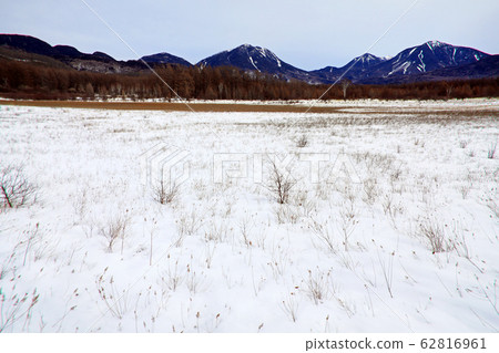 Winter Odashiro Marsh 08 62816961
