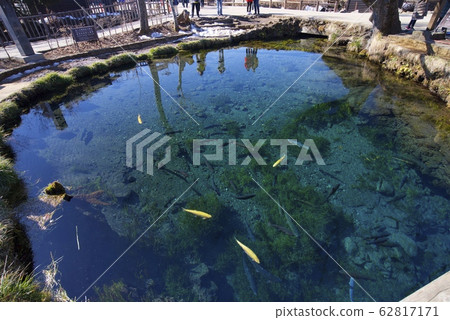 忍野八海的春季池塘冬季(山梨縣) 忍野八海的春季池塘冬季(山梨縣) 62817171