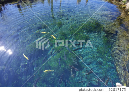 忍野八海的春季池塘冬季（山梨縣） 62817175