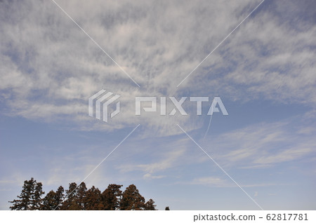 Contrail天空 Contrail天空 62817781