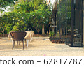 Restaurant Terrace Pool Resort Hotel Breakfast Asia Travel 62817787