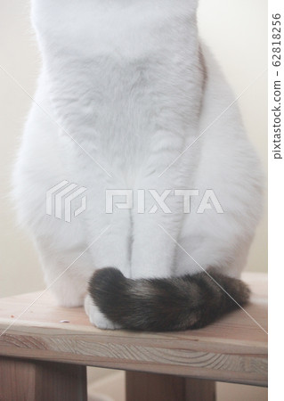 我正在暖腳 62818256