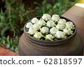 Lotus Lotus Flower Vase Object Water Interior Art 62818597