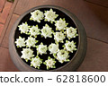 Lotus Lotus Flower Vase Object Water Interior Art 62818600