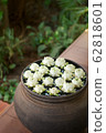 Lotus Lotus Flower Vase Object Water Interior Art 62818601