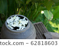 Lotus Lotus Flower Vase Object Water Interior Art 62818603