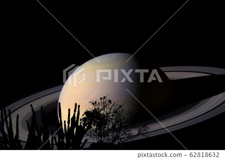 rings and saturn planet over tree on the field in rings and saturn planet over tree on the field in 62818632