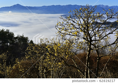 Mt.Buko and Chichibu mountains in the sea of clouds that covers the rowby and Chichibu basin Mt.Buko and Chichibu mountains in the sea of clouds that covers the rowby and Chichibu basin 62819217