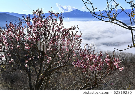 布科山和秩父的山脈在雲海中覆蓋了Hotozan Baien的紅李子和秩父盆地 布科山和秩父的山脈在雲海中覆蓋了Hotozan Baien的紅李子和秩父盆地 62819280