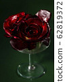 Gorizia, also known as Rosa di Gorizia, an expensive and valuable variety of Italian radicchio. 62819372