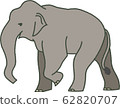 Asian elephant 62820707
