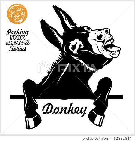 Peeking Donkey - Cheerful neighing Donkey peeking out - face head isolated on white Peeking Donkey - Cheerful neighing Donkey peeking out - face head isolated on white 62821814