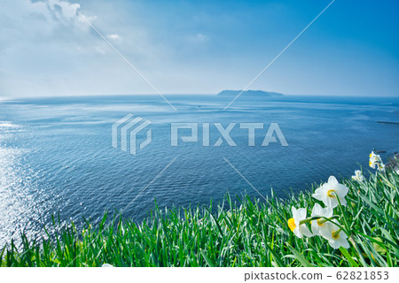 Awaji Island ≪Nada Kuroiwa Daffodil Township≫ Awaji Island ≪Nada Kuroiwa Daffodil Township≫ 62821853