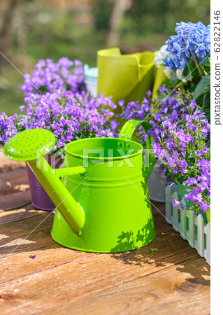 Gardening tools , can and flowers on the terrace 62822146