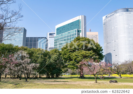 Tokyo Hamarikyu Onshi Garden Building and Shiodome buildings 62822642