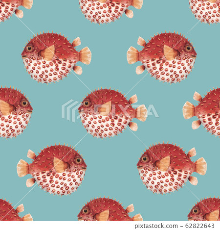 Beautiful seamless pattern with very cute watercolor hedgehog fishes. Stock illustration. Sea life wallpaper. Underwater marine background. 62822643