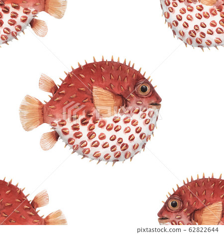 Beautiful seamless pattern with very cute watercolor hedgehog fishes. Stock illustration. Sea life wallpaper. Underwater marine background. 62822644