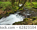 Japan-Kamikochi scenery 62823104