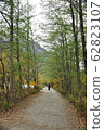 Japan-Kamikochi scenery 62823107