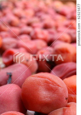 Making plums-after sun drying Making plums-after sun drying 62823877