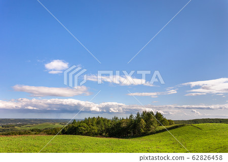 日本北海道東部弟子屈鎮的900個草地 62826458